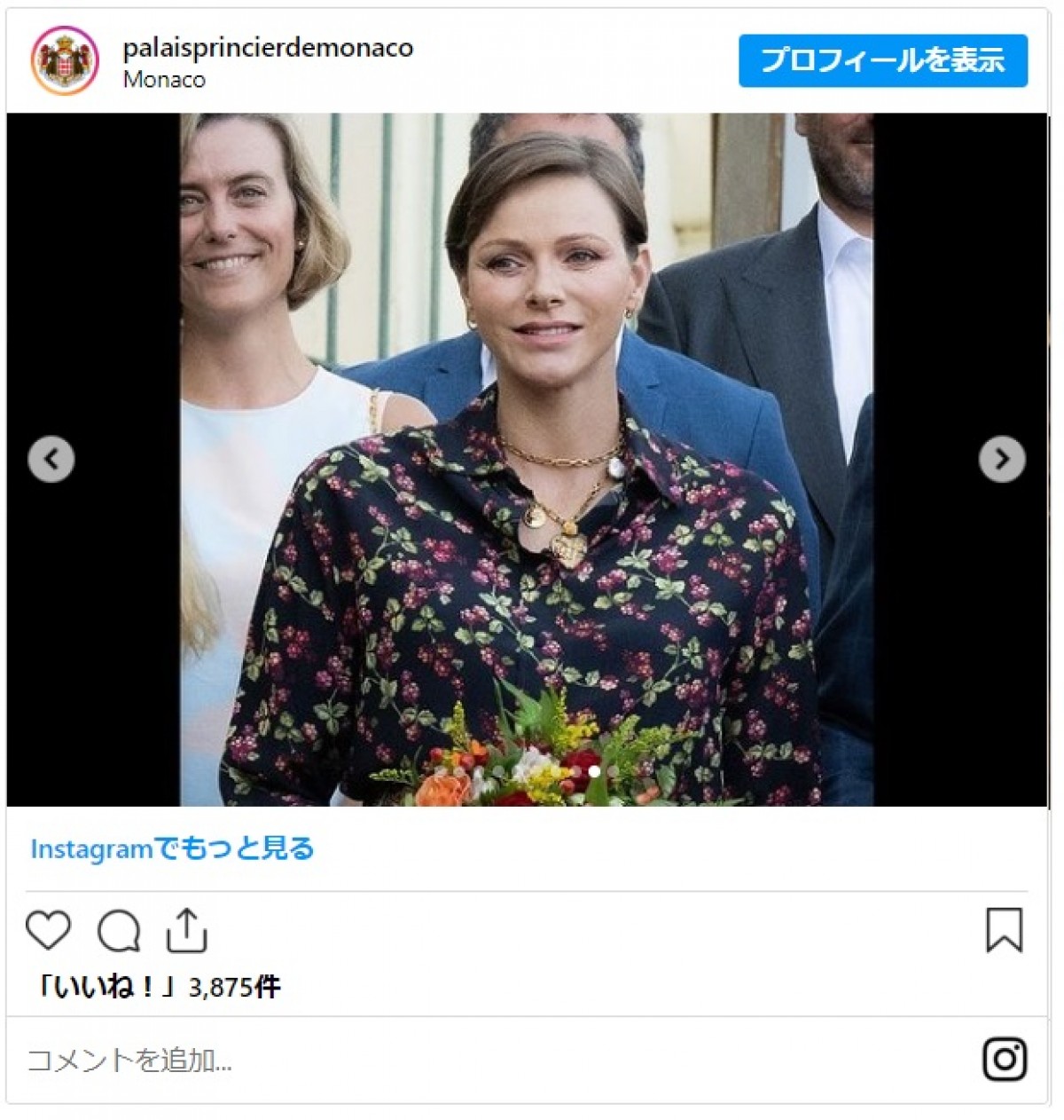 離婚危機説のモナコ公国アルベール大公とシャルレーヌ公妃、双子を連れてサマーピクニックへ