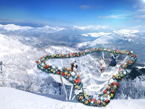 230926_霧氷クリスマス