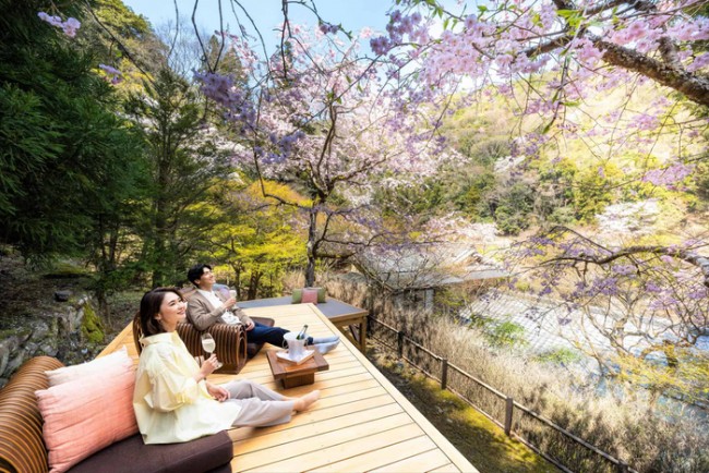 星のや京都「花桜テラス」期間限定オープンへ！　和菓子や御膳料理とともに桜を満喫