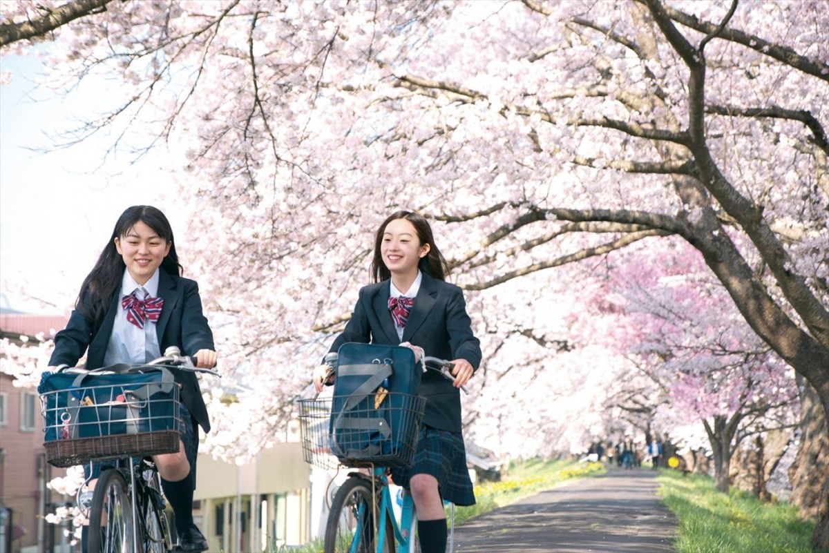 桜庭ななみ出演映画『有り、触れた、未来』、「命」と向き合う複数の物語が交錯する新規場面写真公開