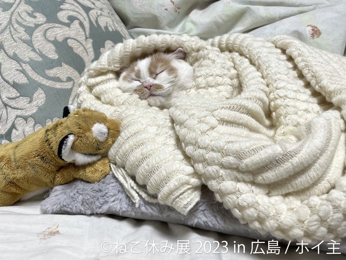20230224_「ねこ休み展 2023 in 広島」