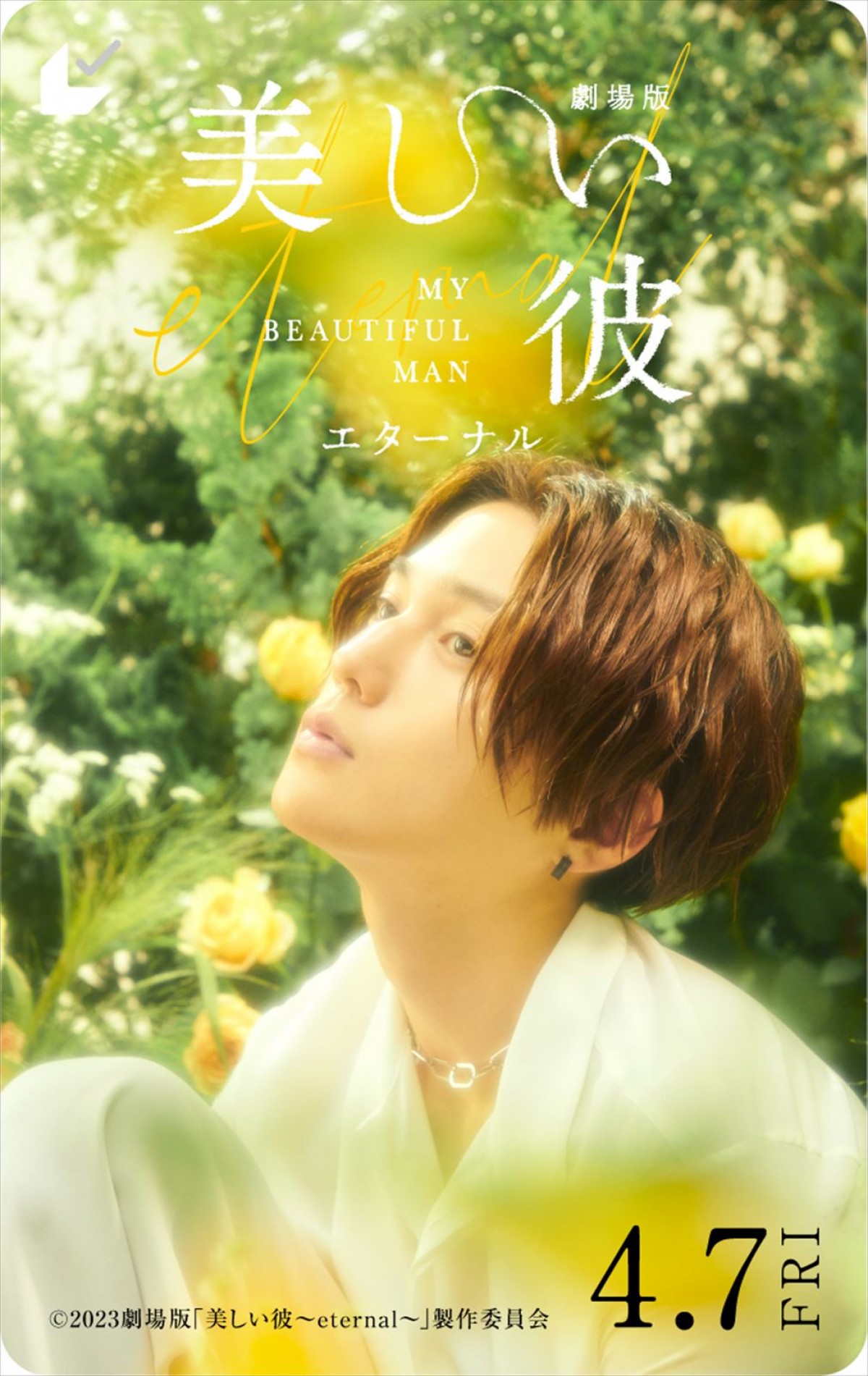 前田拳太郎＆池田大、『劇場版 美しい彼〜eternal〜』追加キャストに決定　本予告も解禁