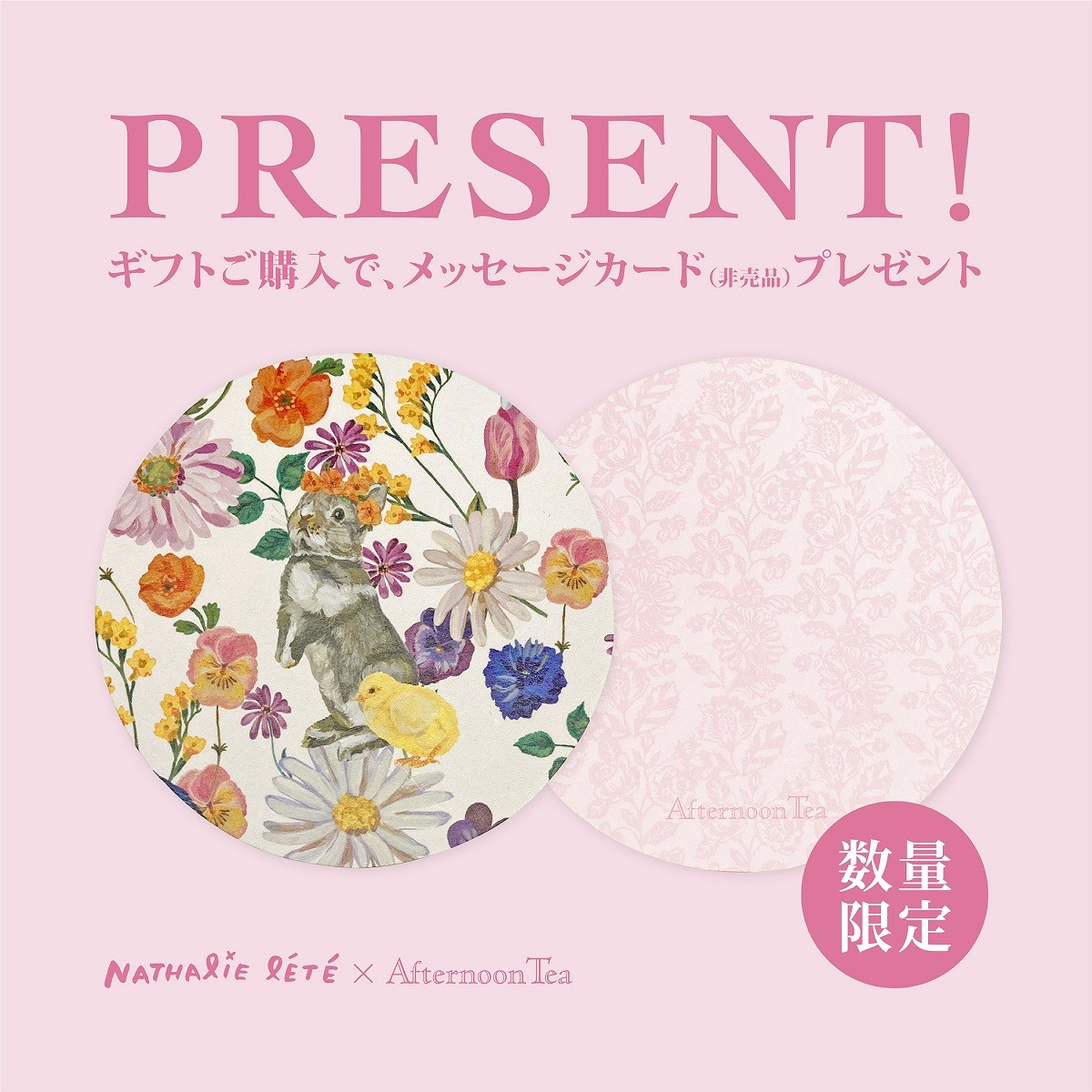 ナタリー・レテ×「Afternoon Tea LIVING」20230301