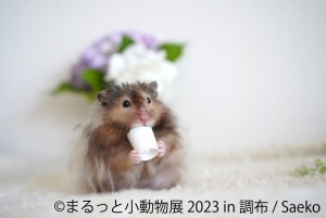 20230317「まるっと小動物展 2023 in 調布」