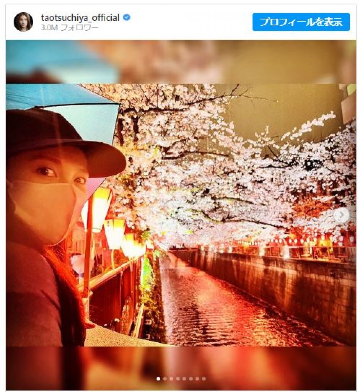 幻想的な“雨の夜桜”と　※「土屋太鳳」インスタグラム