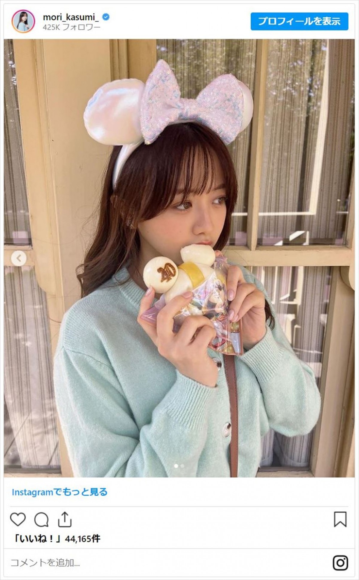 森香澄アナ、“デート風”にディズニーでの1日振り返る「プリセンス見つけました」ファンもん絶