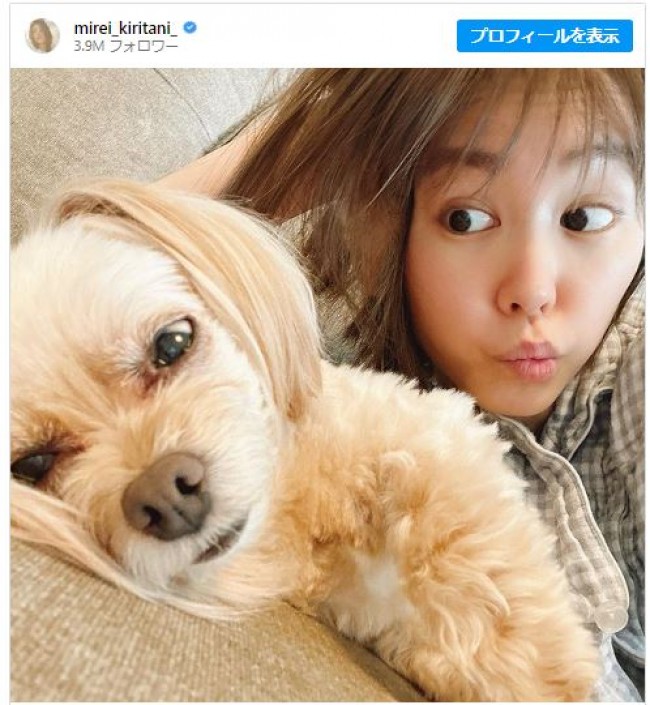 愛犬“パトラ”ちゃんの衝撃的寝顔　※「桐谷美玲」インスタグラム