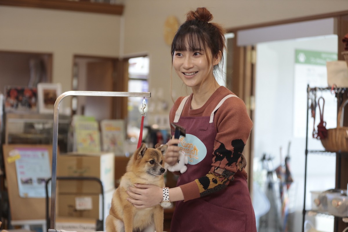 伊藤沙莉×織田裕二×中島健人共演の痛快お仕事コメディ『シッコウ!!～犬と私と執行官～』今夜スタート