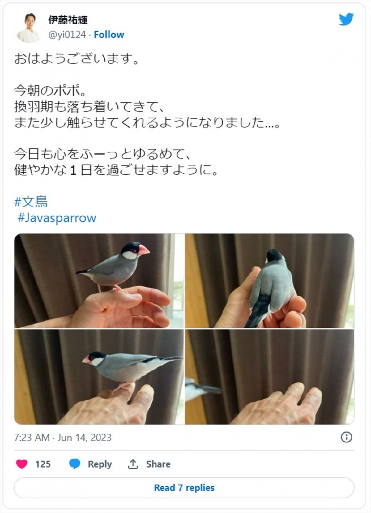 地球の平和を守る特殊部隊「SKaRD」　隊員たちを演じるキャスト素顔に注目＜ウルトラマンブレーザー＞