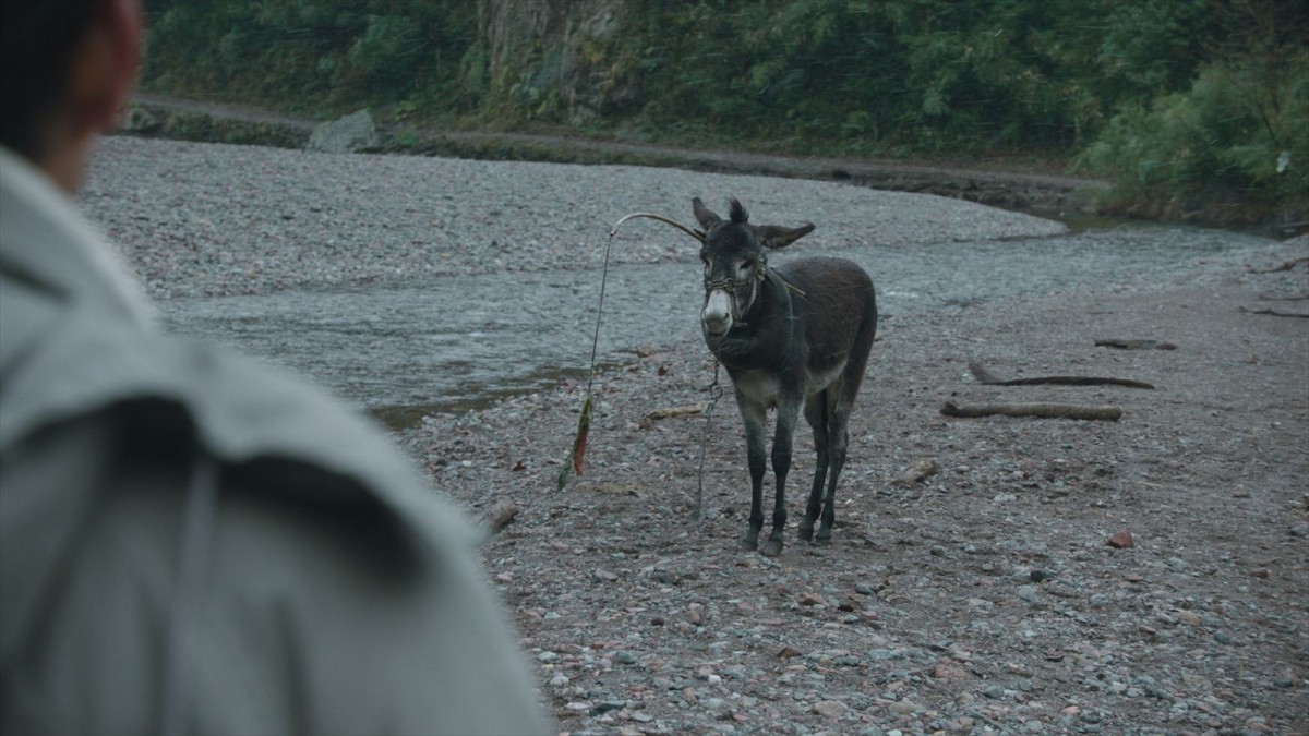 UFO雑誌編集長が宇宙服でロバに？　映画『宇宙探索編集部』新ポスター＆場面写真解禁
