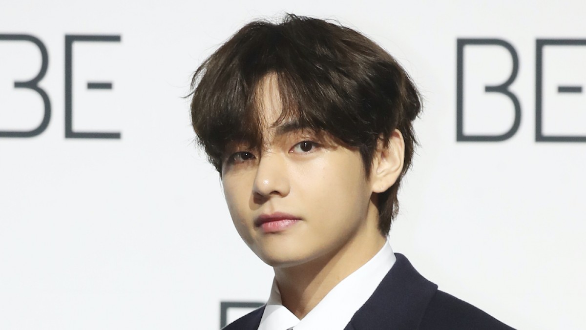 BTS V着用 ヨンタン前掛け V（防弾少年団）、愛犬ヨンタンの近況を公開「この可愛さをご覧