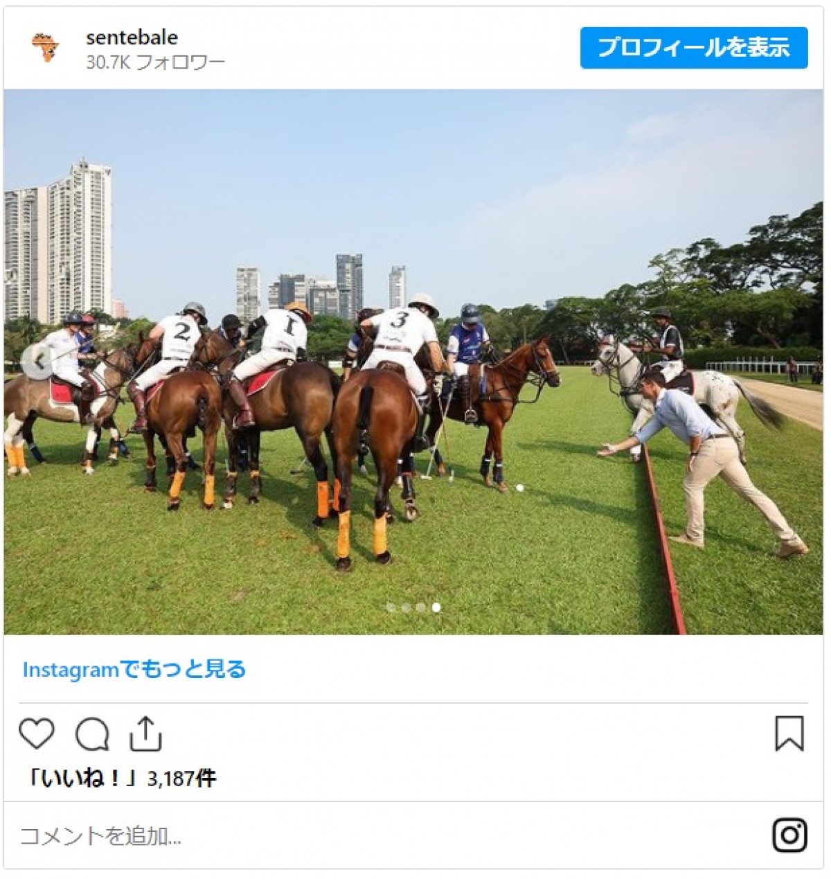ヘンリー王子、シンガポールでポロの試合に出場　フィールドで笑顔弾ける