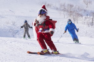 230926_霧氷クリスマス