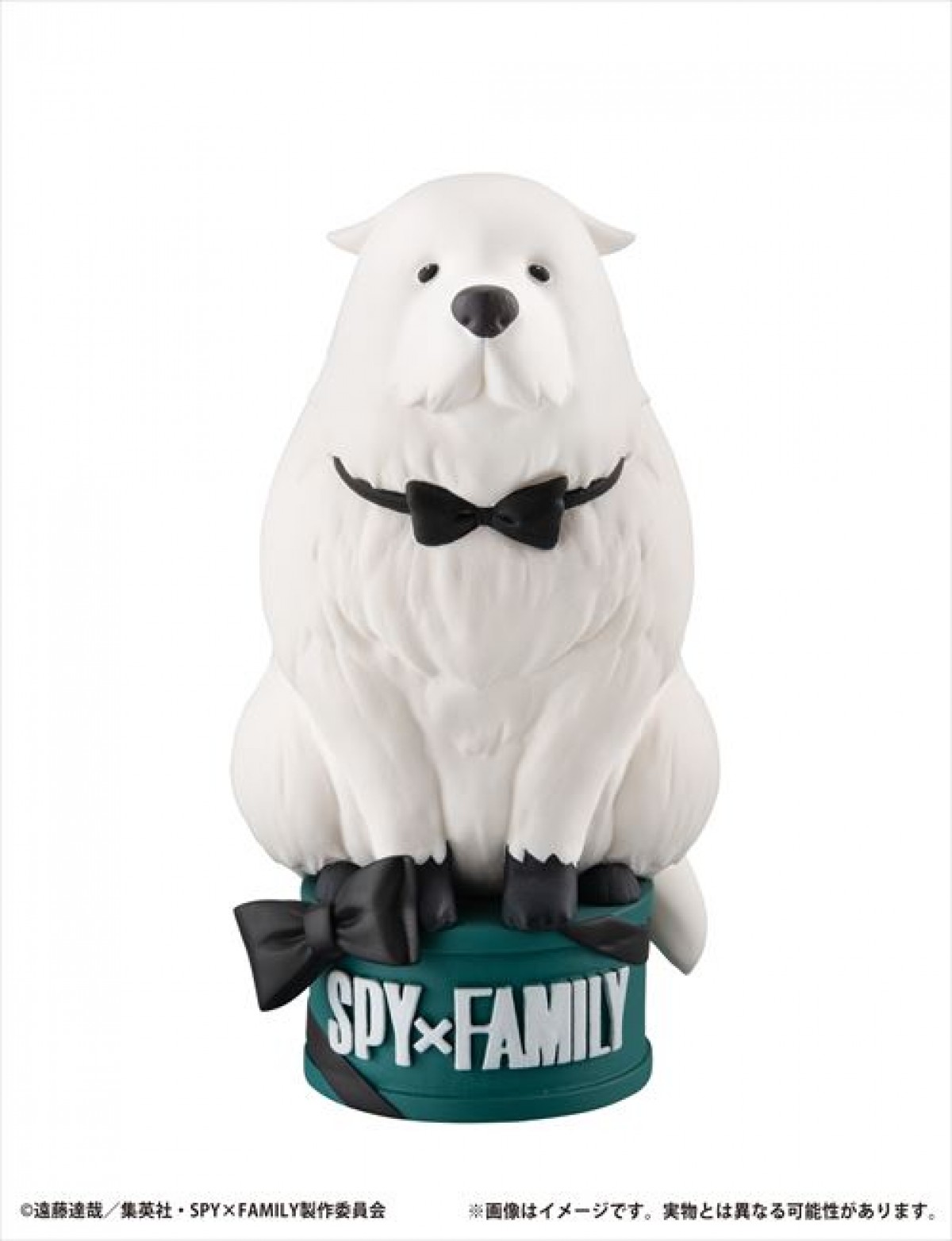 20231018 SPY×FAMILY