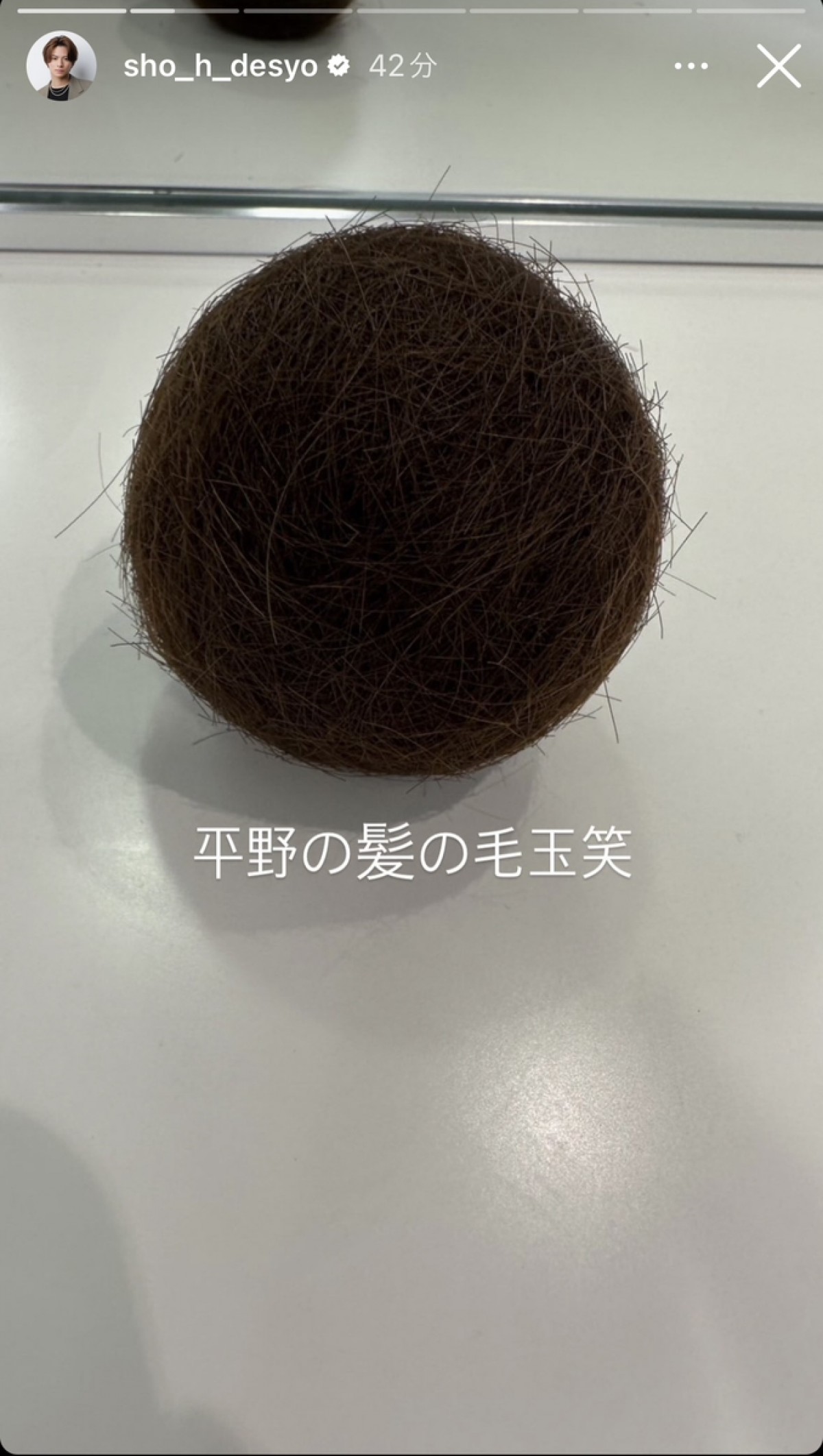 20231016_平野紫耀毛玉