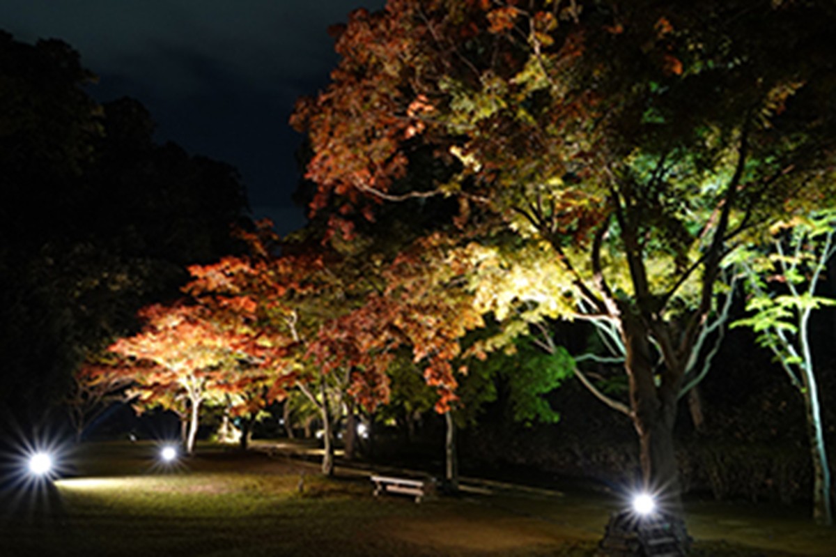 20231012「じゃらん 夜の紅葉絶景ランキング」