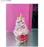 川崎希もびっくり　2つ合わせて6000円するアイスクリーム　※「川崎希」ブログ