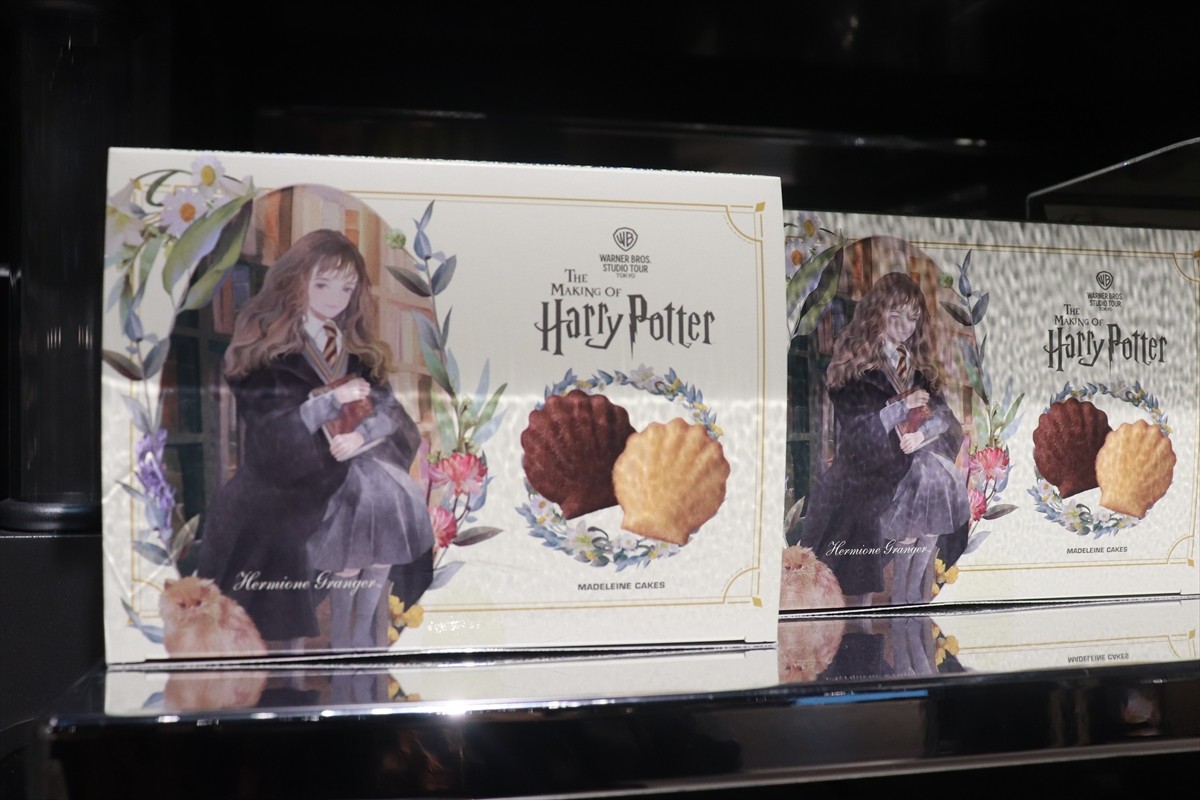 20230614_ワーナー ブラザース スタジオツアー東京‐メイキング・オブ・ハリー・ポッターの様子