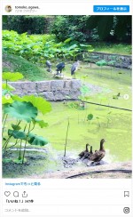 小川知子、京都旅行の風景を披露　※「小川知子」インスタグラム