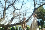 映画『春に散る』場面写真