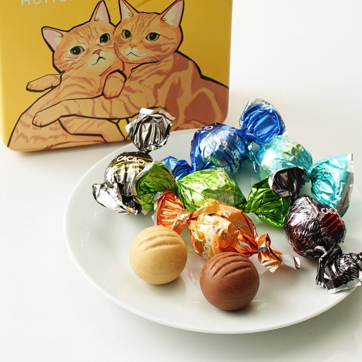2023.8.24花江夏樹プロデュースの猫クッキー缶