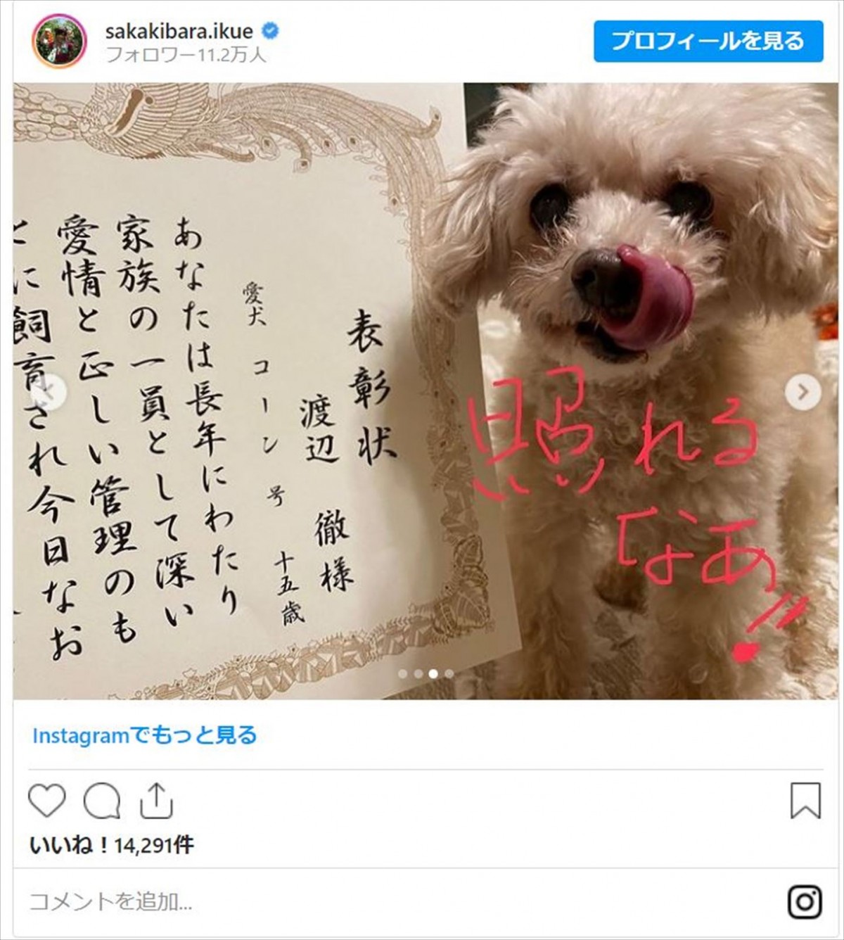 榊原郁恵、故・渡辺徹さん＆愛犬の“表彰”を報告　遺影もちらり「お父さん、目を細めて喜んでるだろうなあ」