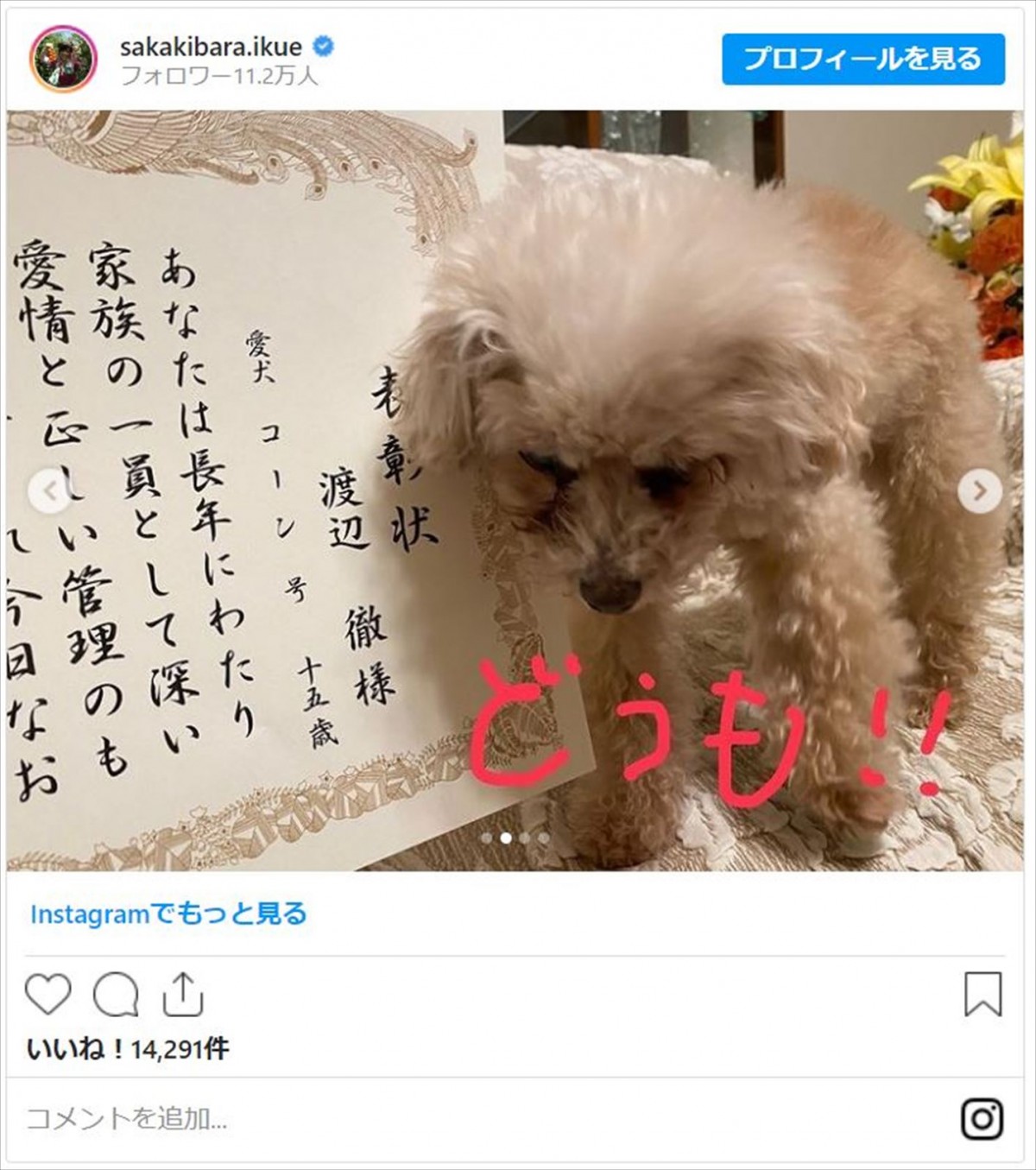 榊原郁恵、故・渡辺徹さん＆愛犬の“表彰”を報告　遺影もちらり「お父さん、目を細めて喜んでるだろうなあ」