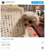 渡辺徹さん＆榊原郁恵の愛犬・コーンちゃん、表彰される ※「榊原郁恵」インスタグラム