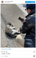山口もえが撮影　猫を撮影する夫の爆笑問題・田中裕二　※「藤あや子」インスタグラム