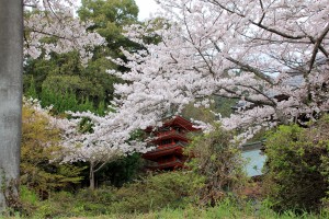 20230312「じゃらん まるで絵画のような桜絶景ランキング」