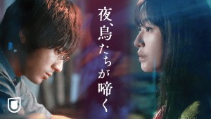 夜、鳥たちが啼く