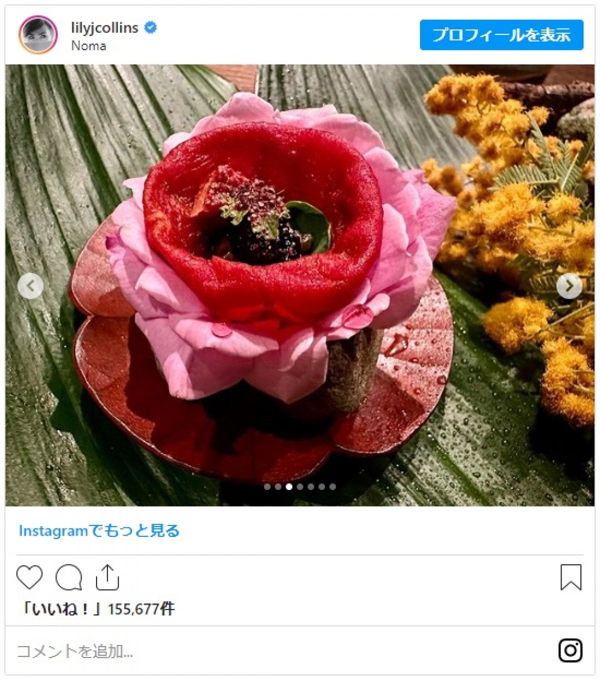 リリー・コリンズ、日本を満喫し帰国　お花見＆ゲーセンではプリクラも堪能