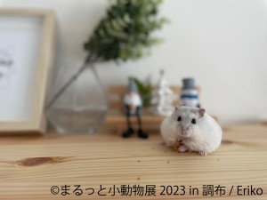 20230317「まるっと小動物展 2023 in 調布」