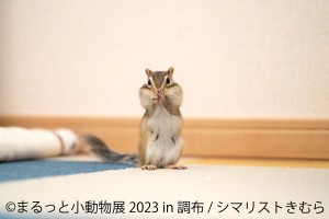 20230317「まるっと小動物展 2023 in 調布」