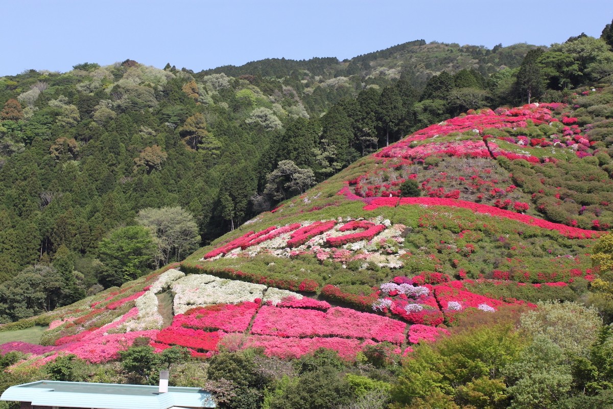 230426_花まつり