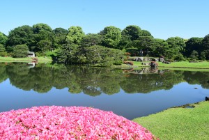 20230417「都立9庭園の無料開園」