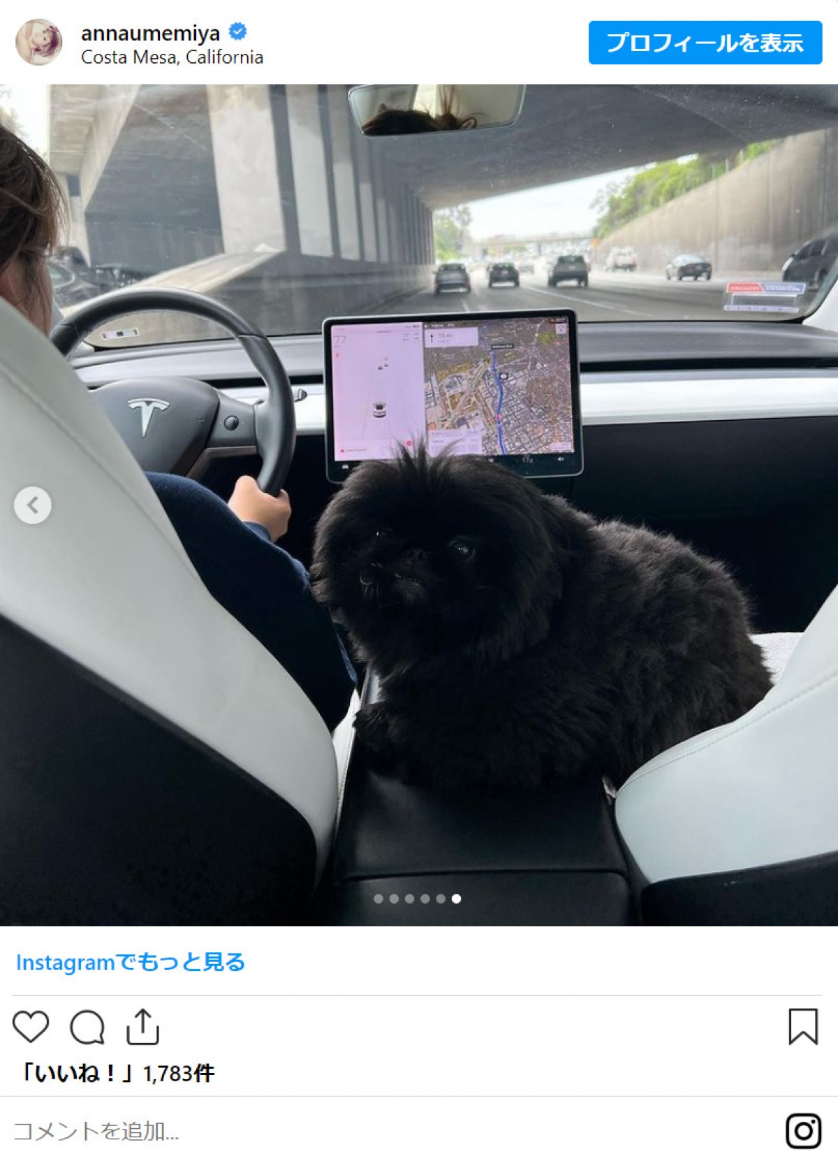 梅宮アンナ「車を変えまして」「テスラ機能が凄くてビックリ」カリフォルニアで娘とドライブ