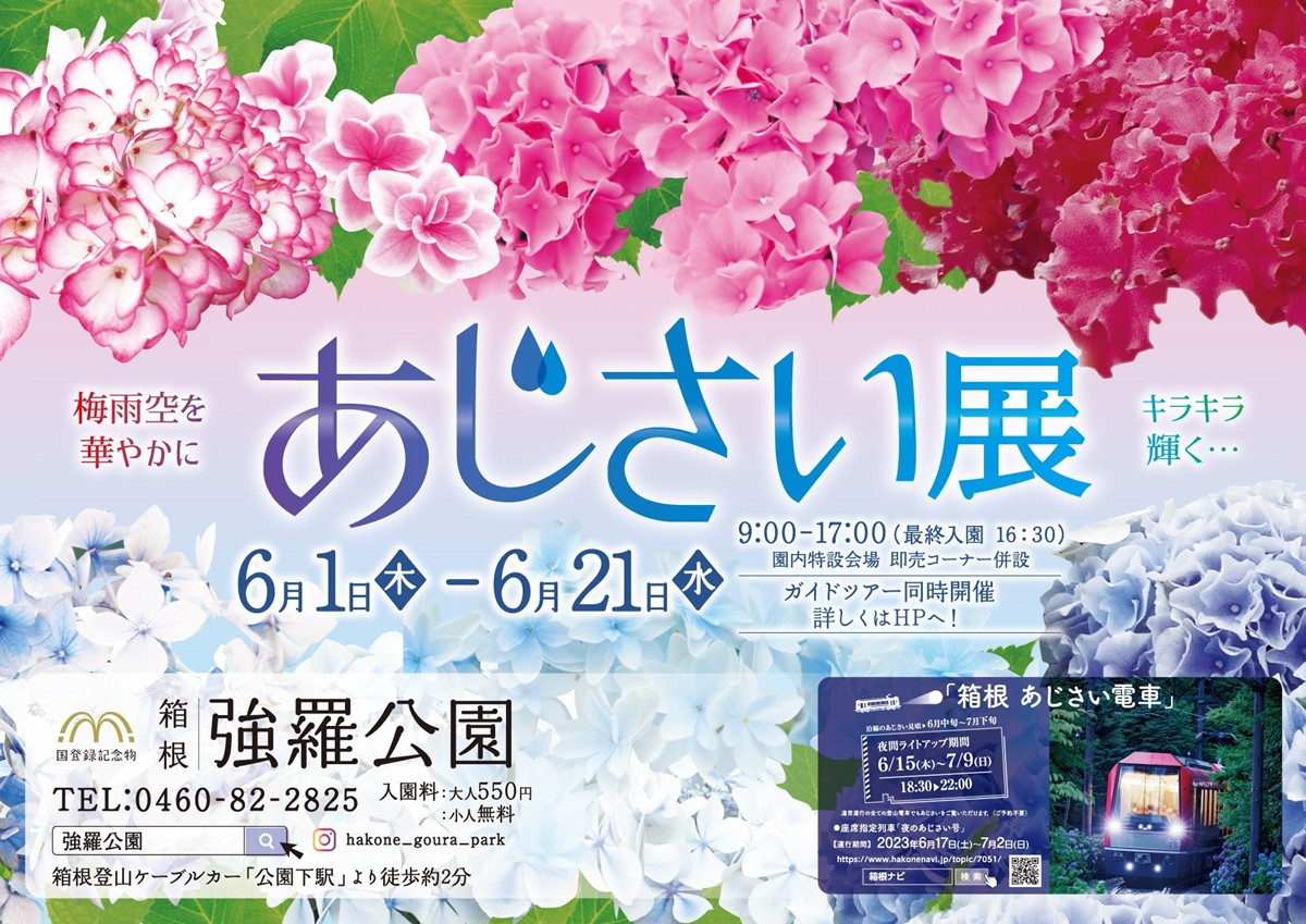 20230525「あじさい展」