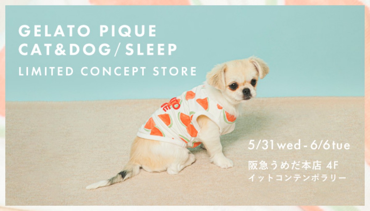 「ジェラピケ」期間限定コンセプトストアが大阪に登場！　犬猫用アイテム＆寝具ラインを展開