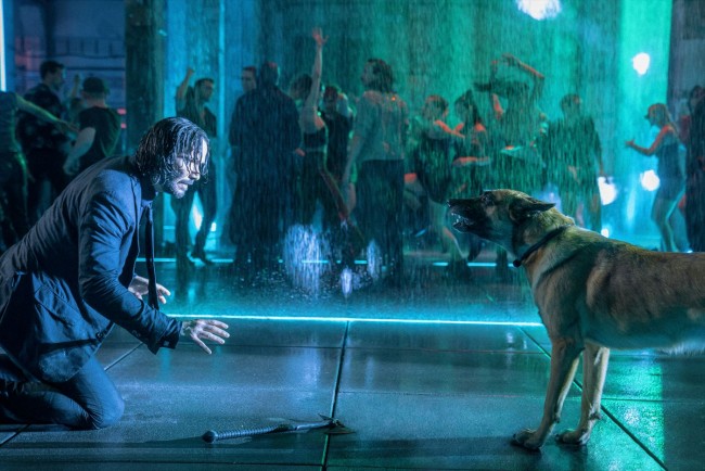 映画『ジョン・ウィック:コンセクエンス』より、戦いの最中に荒ぶる犬をなだめるジョン