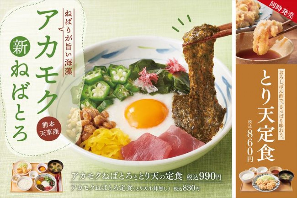 20230510 新ねばとろ定食