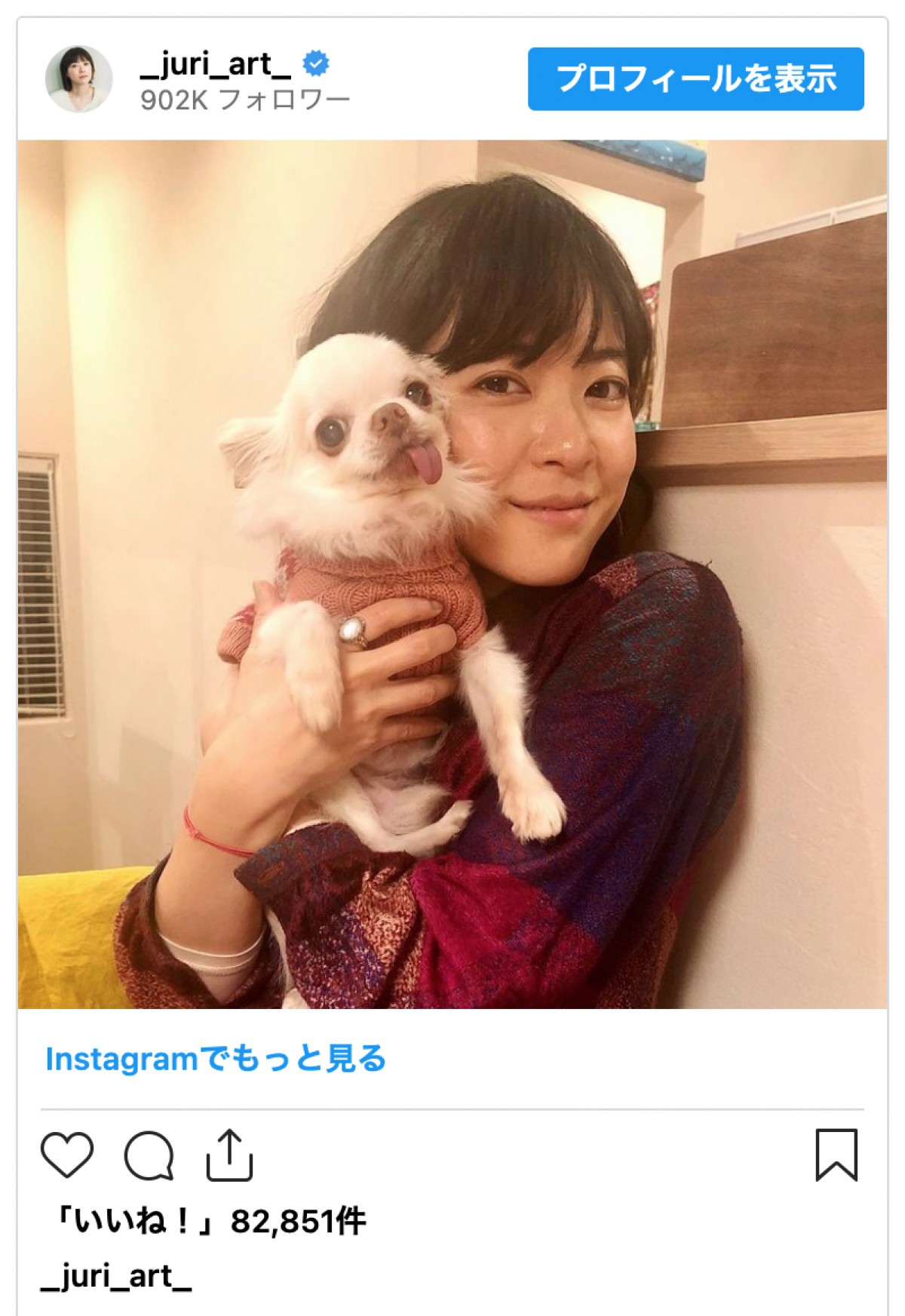 上野樹里、愛犬との別れを告げファンから涙「いっぱい愛されて幸せだったと思います」