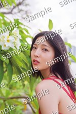 早川聖来卒業記念写真集『また、いつか』書店特典ポストカード（TSUTAYA ）