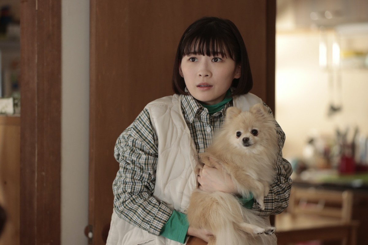 伊藤沙莉×織田裕二×中島健人共演の痛快お仕事コメディ『シッコウ!!～犬と私と執行官～』今夜スタート
