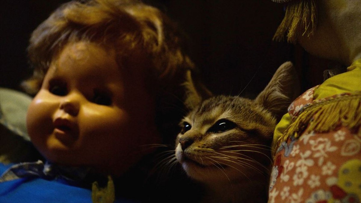 ＜世界猫の日＞『ルー、パリで生まれた猫』“猫LOVE”満載の予告編2種＆猫チラシ解禁