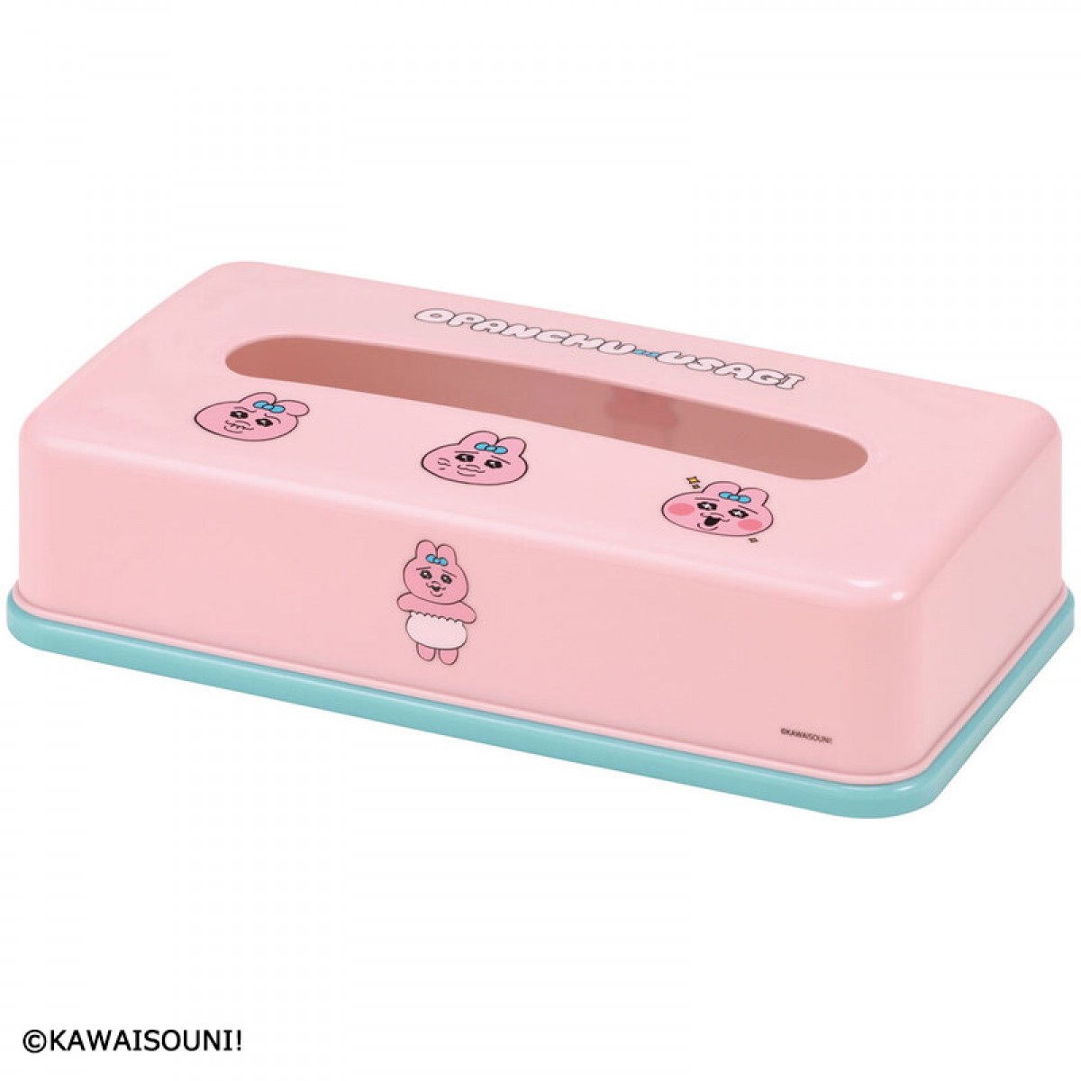 20230925 おぱんちゅうさぎ