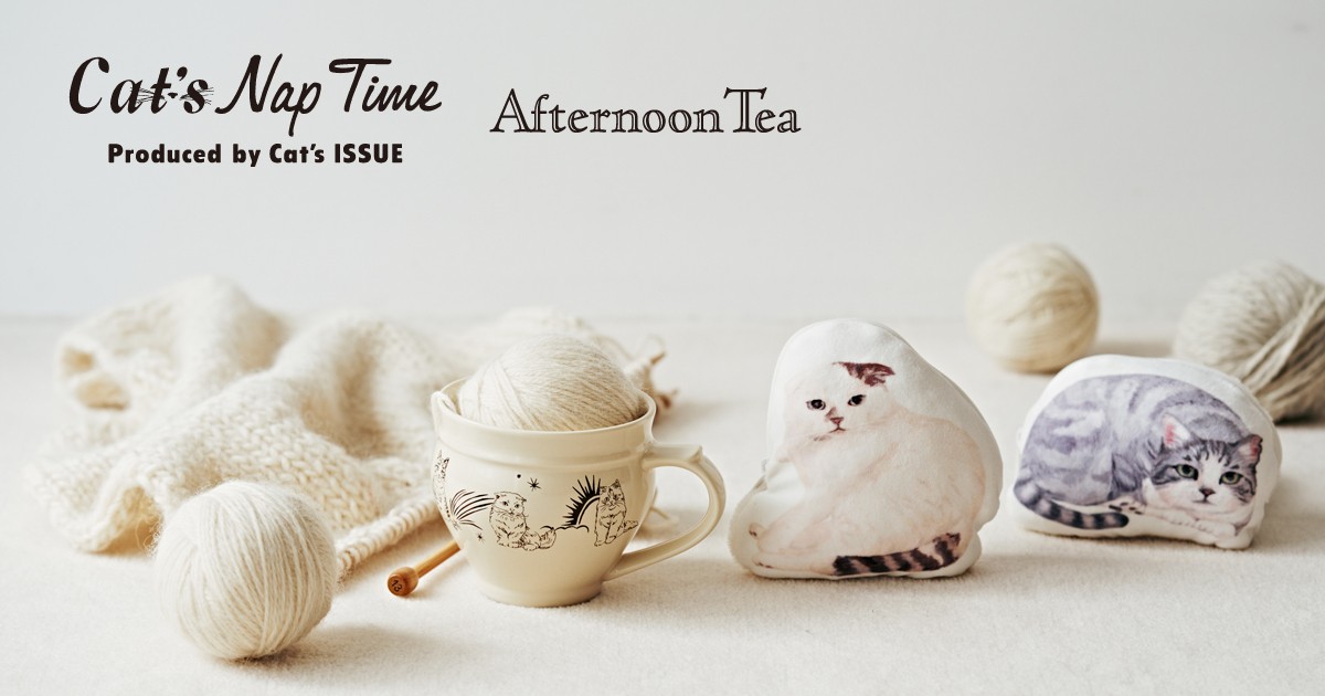 20231004「Cat’s NapTime produced by Cat’s ISSUE」