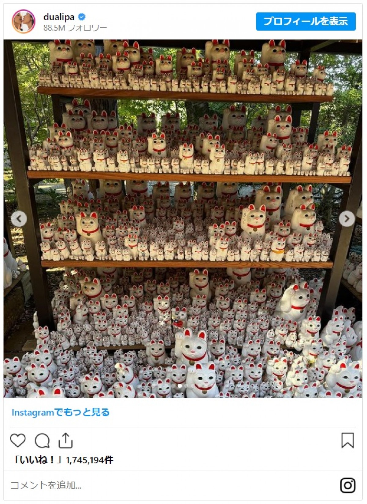 デュア・リパが来日！　スタイリッシュなファッションで街を散策＆寿司作りにも挑戦