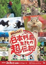 『日本列島生きもの超伝説　劇場版ダーウィンが来た！』ポスター
