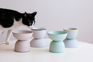20230220tetetoteオリジナル 猫のフードボウル